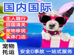 龙湾航空空运国际宠物托运 【国